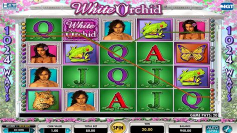 play white orchid slots online free|white orchid slot machine youtube.